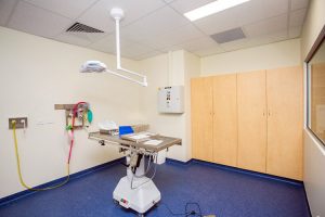 VetWest Surgery Interior Design by Stiely design