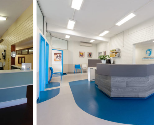 Veterinary Hospital Reception area Design by Stiely Design