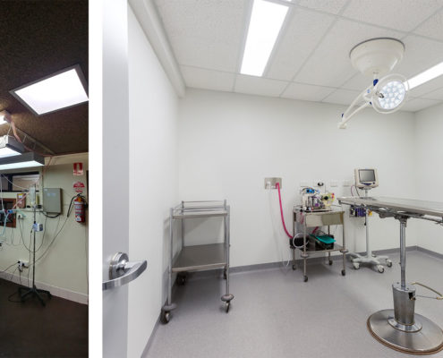 Veterinary Hospital Surgery Interior Design
