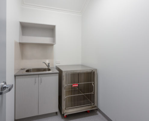 Veterinary Hospital Isolation room Interior Design